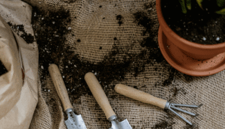 Jardinage et entretien extérieur avec Major'Dom 67 Entretien de jardin à domicile avec Major'Dom 67