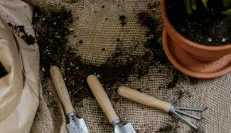 Entretien de jardin à domicile avec Major'Dom 67